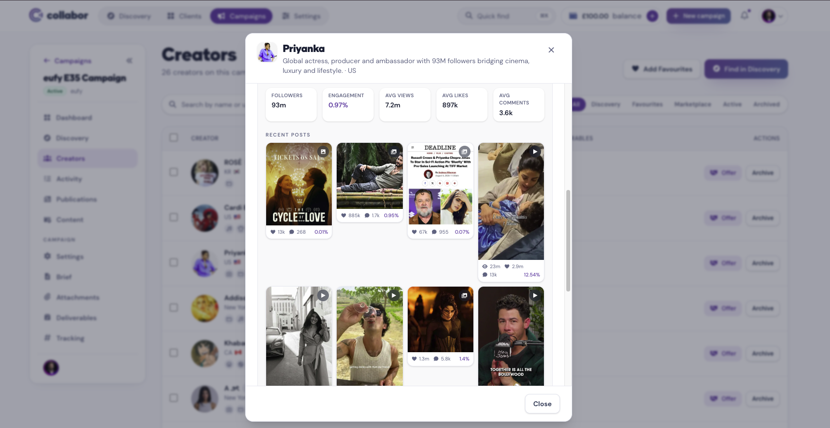 Professional Portfolio interface preview